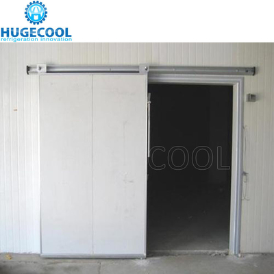 Color Steel Cold Room Sliding Door Walk In Freezer Door