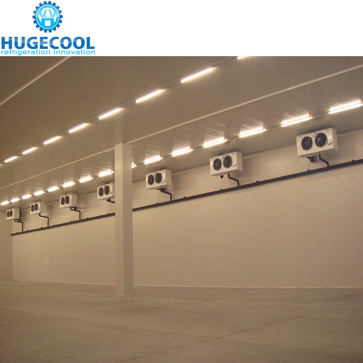 Logistics Cold Storage Freezer Cold Room Project for Warehouse