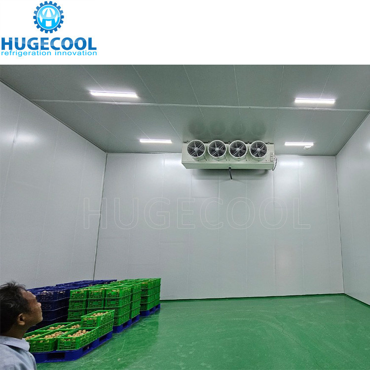 Hugecool  cold room for vegetables walk in cooler box