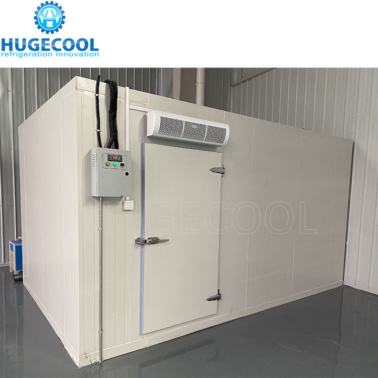 cold room /walk in freezer storage high efficiency cold storage for seafood
