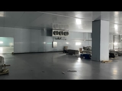 Carne congelada Carne de res Pollo de mar Alimentos de mar Sala de frío