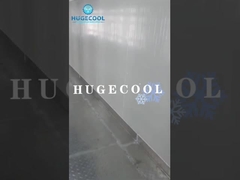 Muestra Caminar en el refrigerador Caminar en el congelador con puerta de vidrio