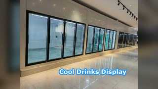 Puertas de exhibición de cámaras frigoríficas para licorerías