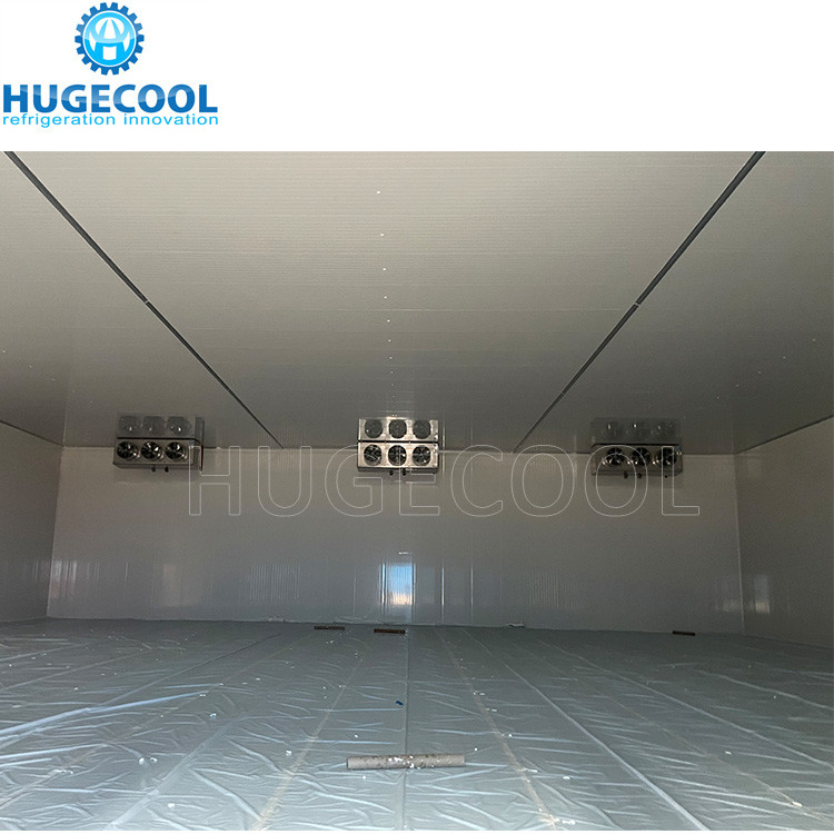 Poultry meat chicken walk-in quick freezing machine blast freezer