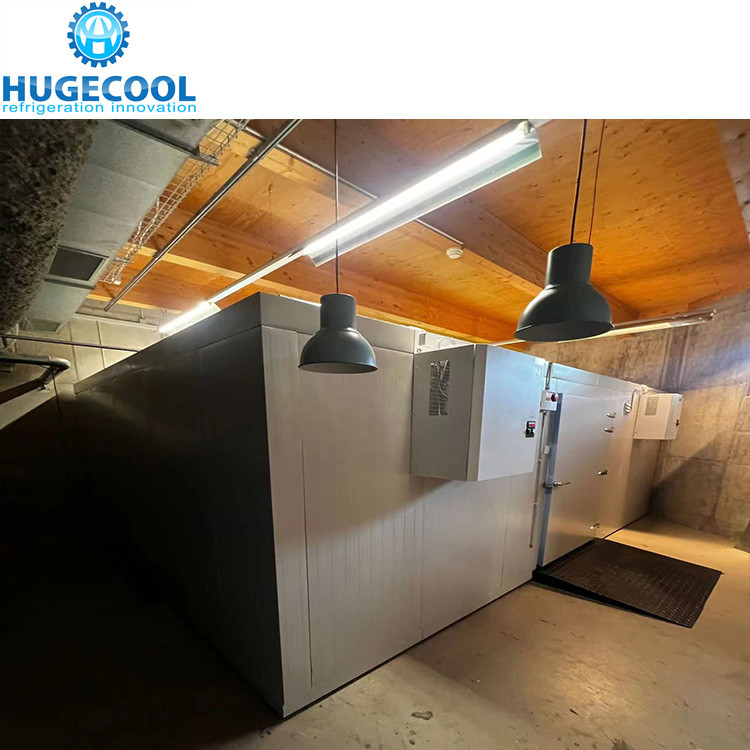 Customized Cold Storage Room Chiller Freezer Room With Condensing Unit Compressor