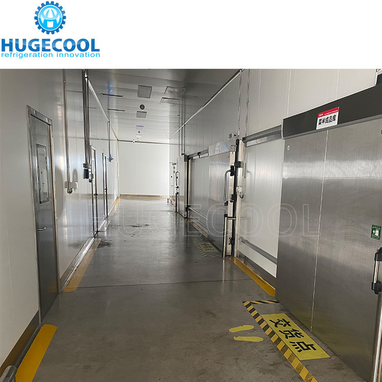 Walk In Freezer Cold Room For Seafood Meat Storage With Famous Compressor