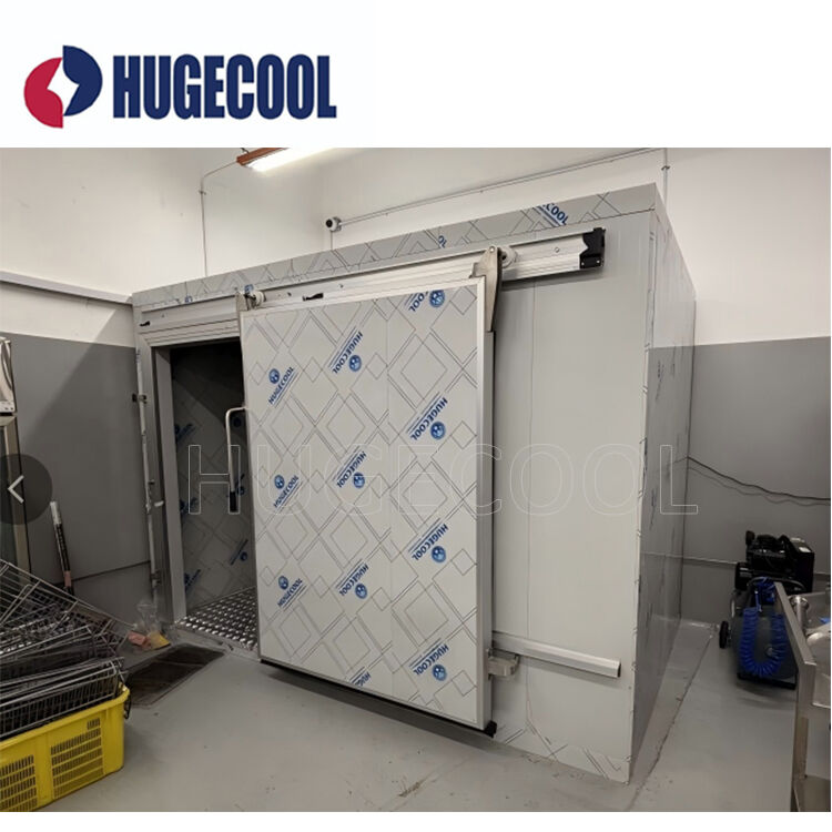 PVC Coated Steel Freezer Cold Room Pharmaceutical Cold Storage Ice Cream Hardening Room 